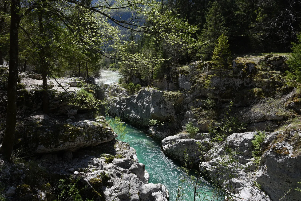 The Soča flowing through the Great Soča Gorge